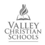VCS logo