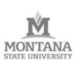 montana state uni